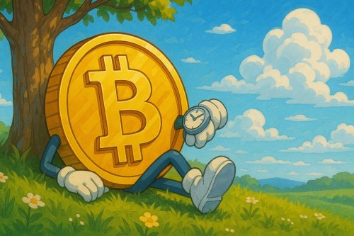 Bitcoin Loses Its Shine