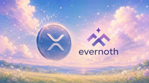 Evernorth: XRP Ledger Activity Continues to Grow