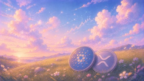 Hoskinson: Ripple May Need Midnight
